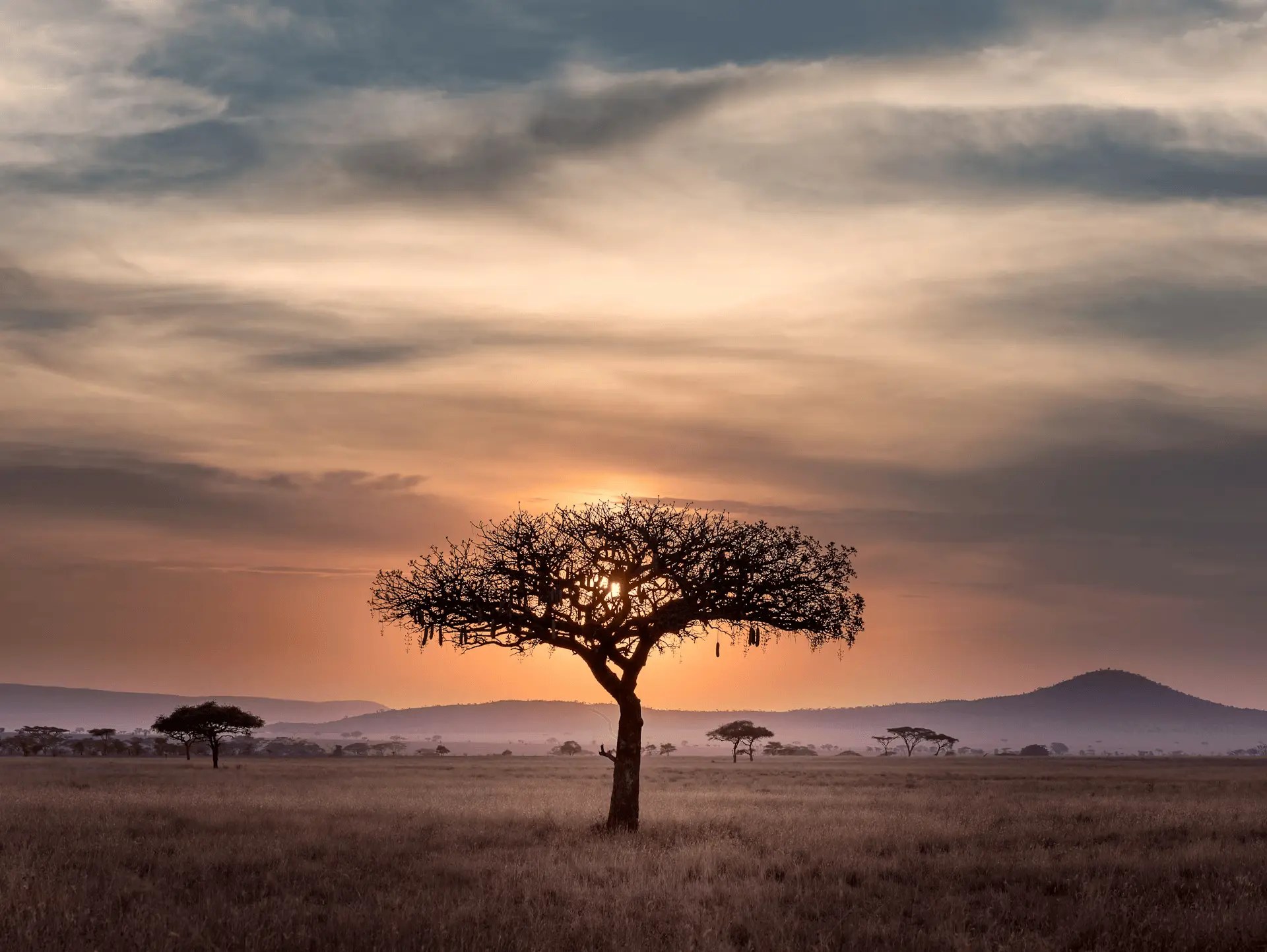 Stunning Madagascar landscape showcasing the natural beauty and biodiversity of the island - Ophiris Travel Agency